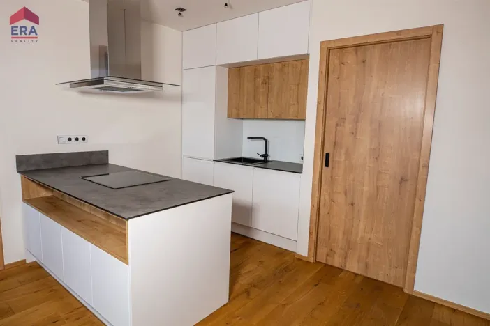 Prodej bytu 3+kk, Liberec, Na Ladech, 110 m2