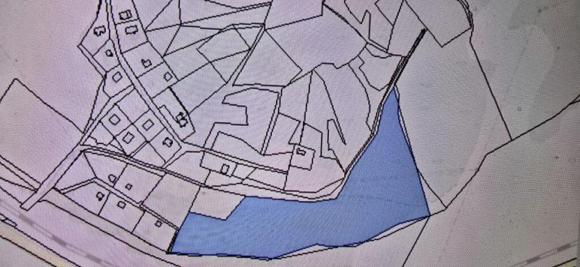 Prodej lesa, Ústí nad Labem, 13913 m2