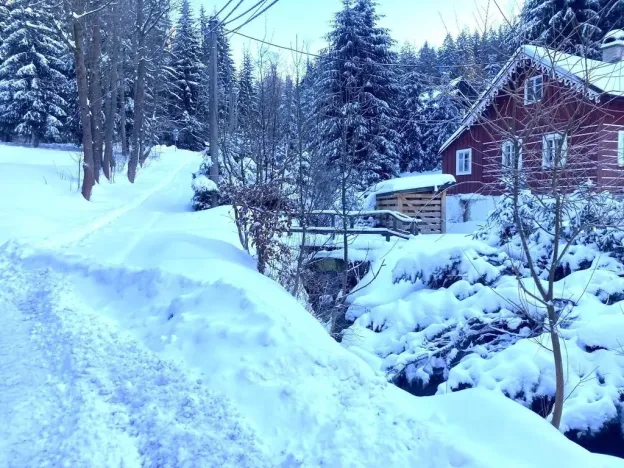 Prodej činžovního domu, Desná - Desná III, Mlýnská, 1480 m2