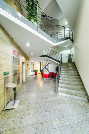 Pronájem kanceláře, Praha - Vinohrady, Škrétova, 485 m2