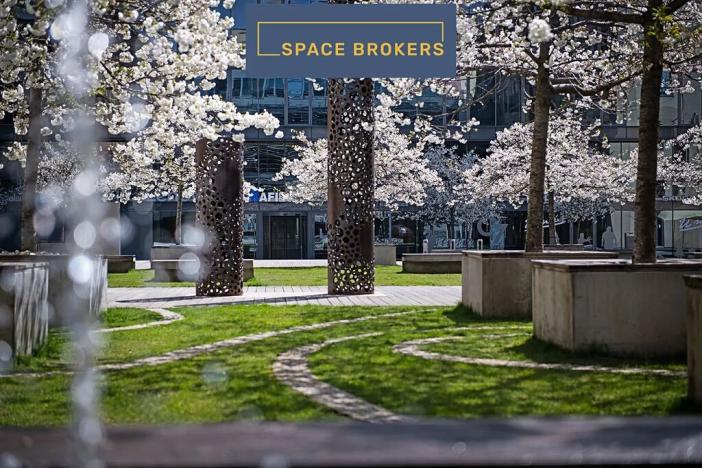 Pronájem kanceláře, Praha - Holešovice, Jankovcova, 564 m2