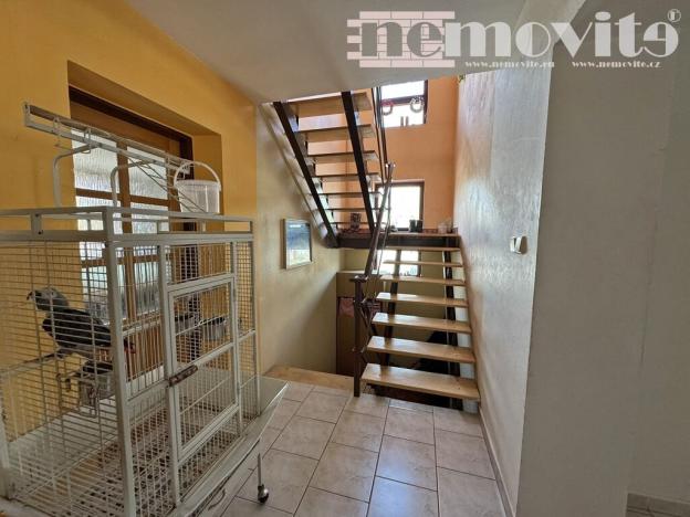 Prodej vícegeneračního domu, Dolní Branná, 866 m2