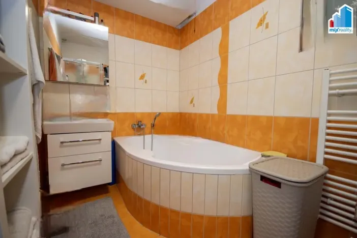 Prodej rodinného domu, Myslív, 868 m2