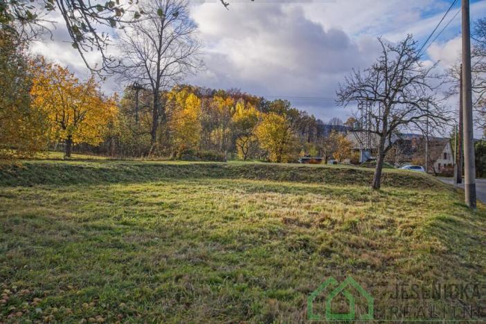 Prodej pozemku pro bydlení, Stará Červená Voda - Nová Červená Voda, 452 m2