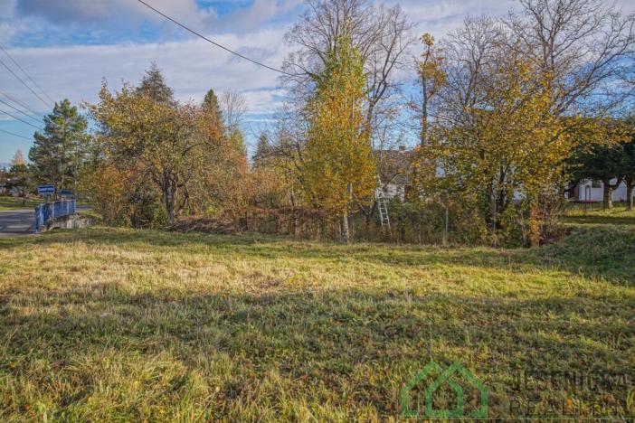 Prodej pozemku pro bydlení, Stará Červená Voda - Nová Červená Voda, 452 m2