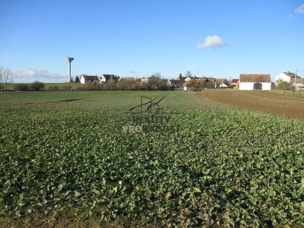 Prodej pozemku pro bydlení, Ctidružice, 2624 m2