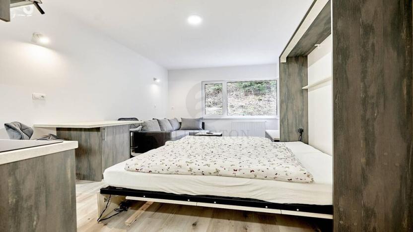 Pronájem bytu 1+kk, Ostrov - Horní Žďár, 26 m2