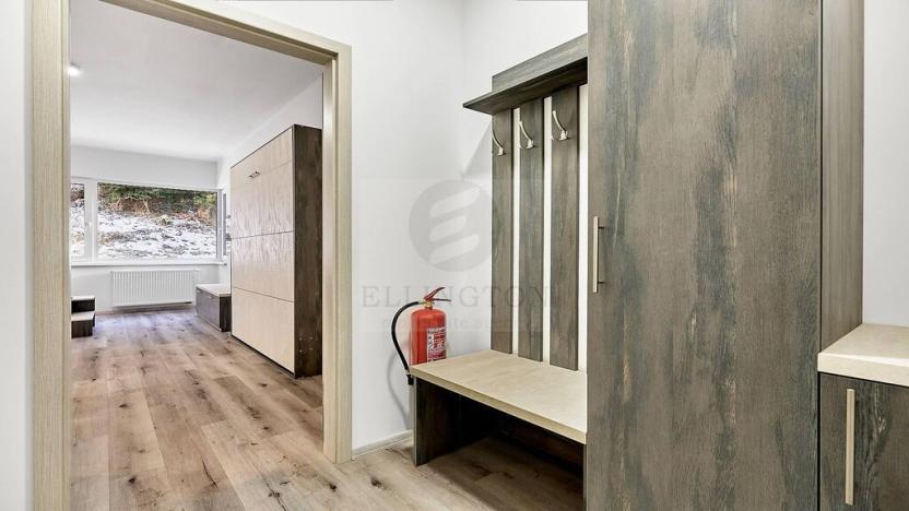 Pronájem bytu 1+kk, Ostrov - Horní Žďár, 26 m2