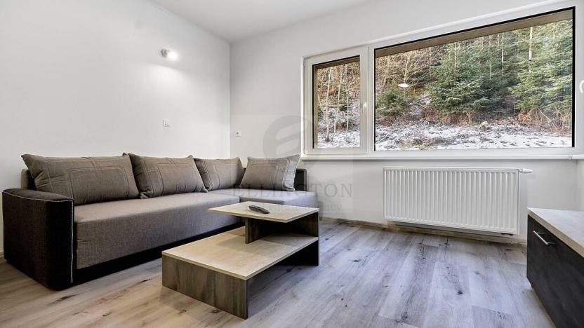 Pronájem bytu 1+kk, Ostrov - Horní Žďár, 26 m2