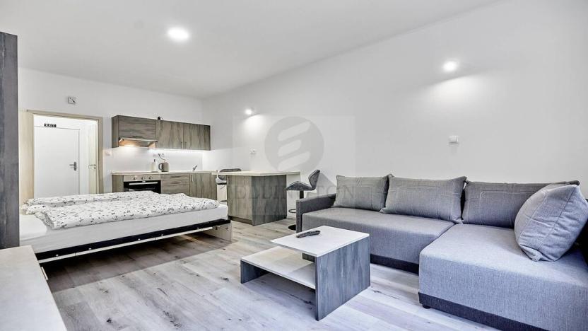 Pronájem bytu 1+kk, Ostrov - Horní Žďár, 26 m2