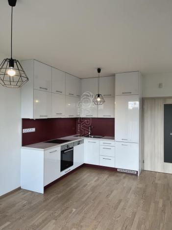 Pronájem bytu 3+kk, Praha - Žižkov, Olšanská, 96 m2