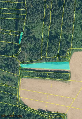 Prodej pole, Kovčín, 60542 m2