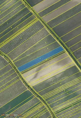 Prodej sadu/vinice, Milovice, 5613 m2