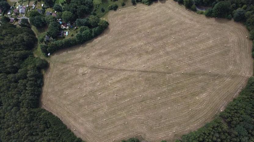 Prodej louky, Aš, 82414 m2