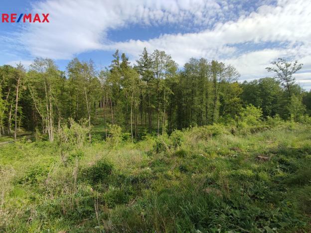 Prodej lesa, Vladislav, 17681 m2