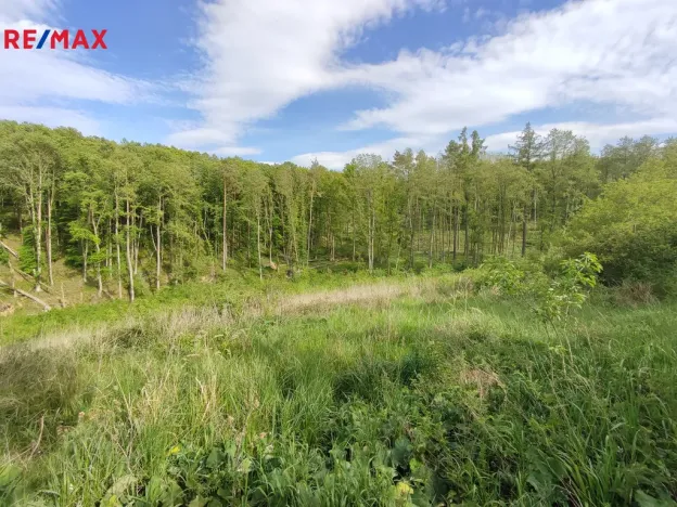 Prodej lesa, Číměř, 17681 m2