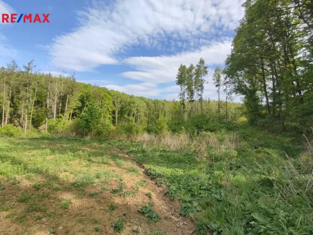 Prodej lesa, Číměř, 17681 m2