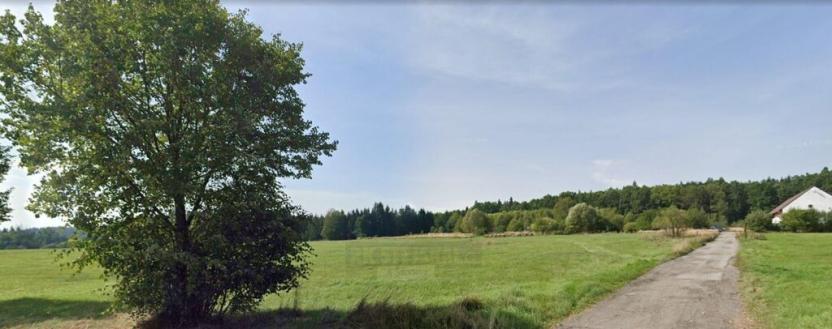 Prodej komerčního pozemku, Trhové Sviny - Třebíčko, 41458 m2