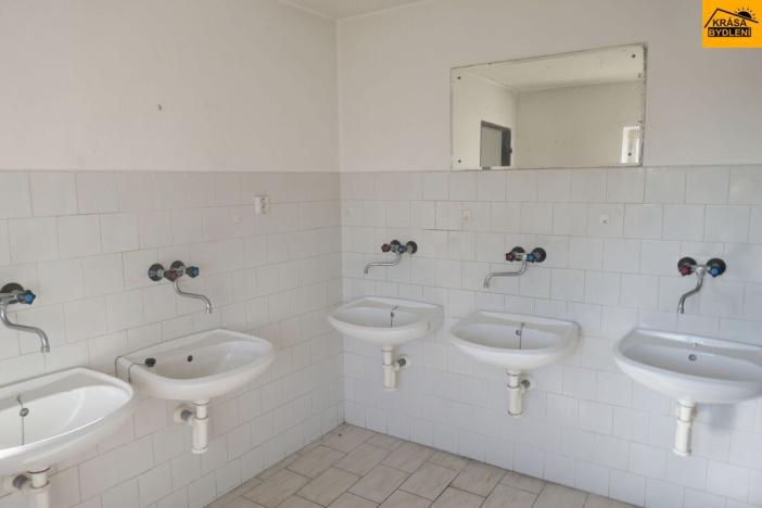 Prodej komerčního pozemku, Moravec, 3983 m2