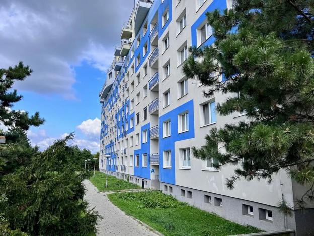 Pronájem bytu 3+kk, Brno, třída Generála Píky, 46 m2