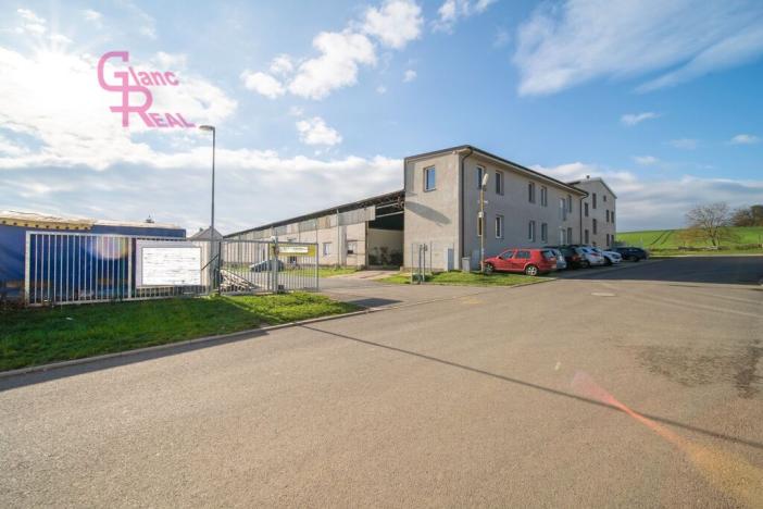 Prodej výrobních prostor, Těmice, 2178 m2