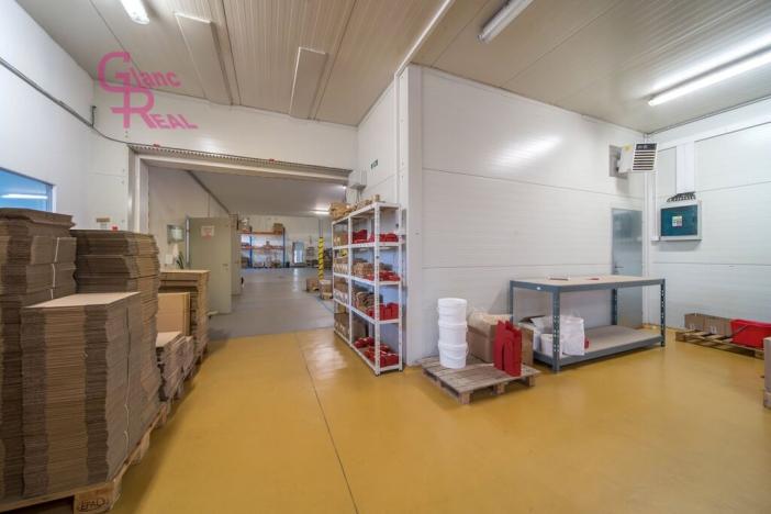 Prodej výrobních prostor, Těmice, 2178 m2