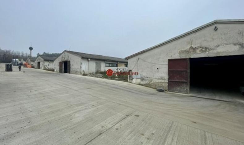Pronájem skladu, Netvořice - Všetice, 1350 m2