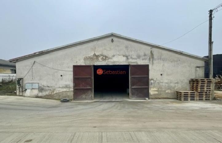 Pronájem skladu, Netvořice - Všetice, 1350 m2