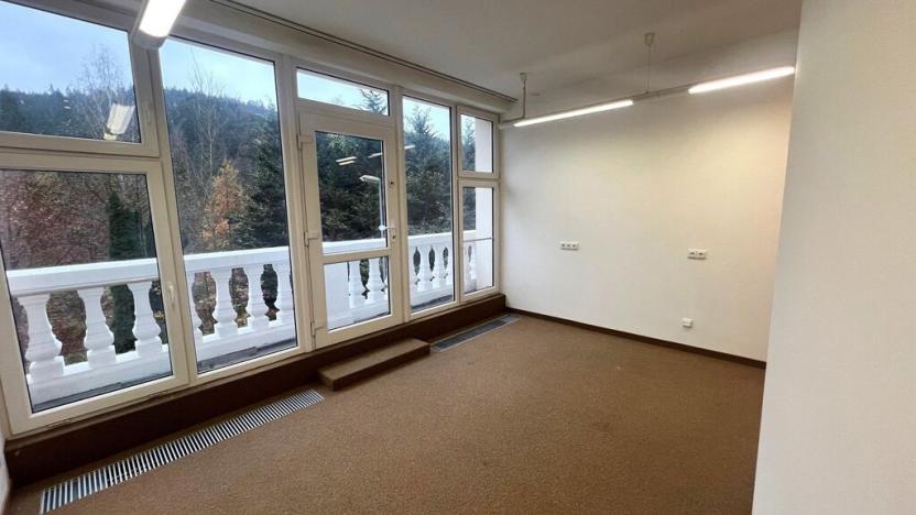 Pronájem obchodního prostoru, Karlovy Vary, Slovenská, 225 m2