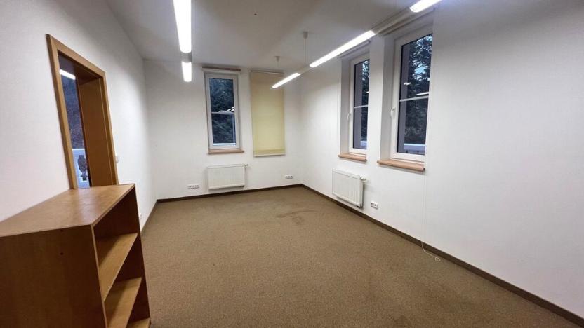 Pronájem obchodního prostoru, Karlovy Vary, Slovenská, 225 m2