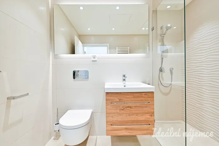 Pronájem bytu 1+kk, Brno, Cejl, 29 m2