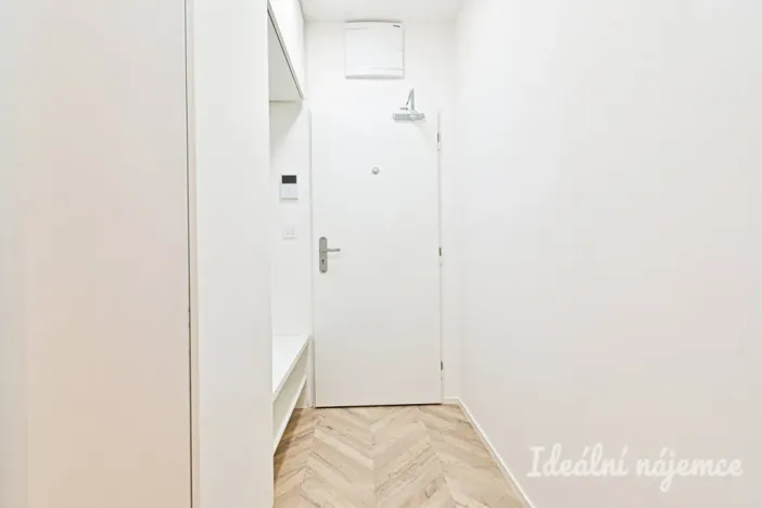 Pronájem bytu 1+kk, Brno, Cejl, 29 m2