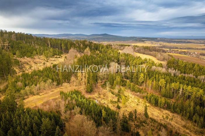 Prodej pozemku pro bydlení, Dolní Třebonín, 2948 m2