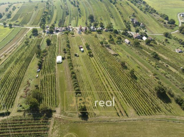 Prodej - jiné, Mutěnice, 80 m2