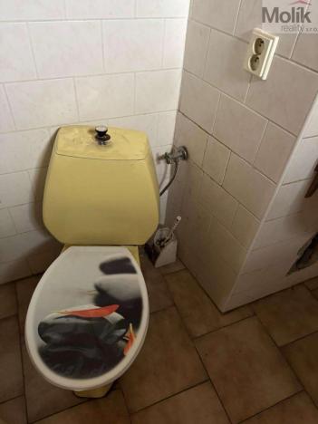 Prodej rodinného domu, Polepy - Encovany, 417 m2