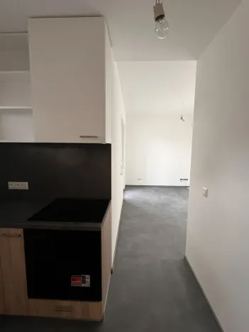 Pronájem bytu 1+kk, Znojmo, Třešňová, 21 m2
