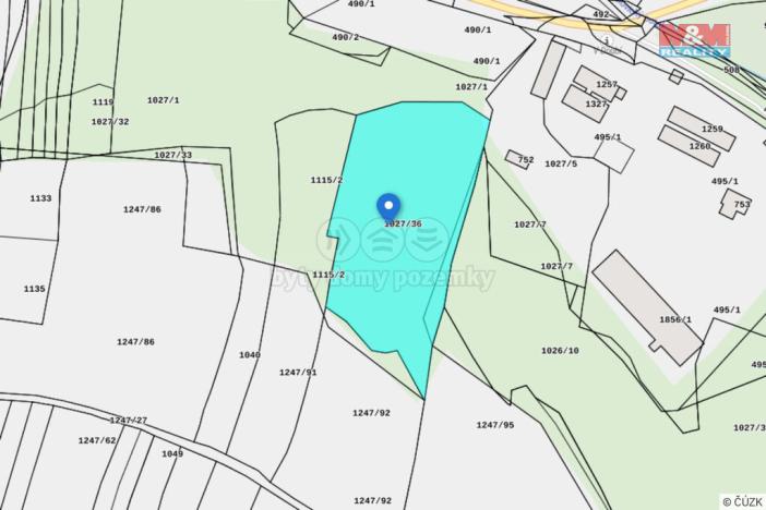 Prodej lesa, Kralovice, 6740 m2