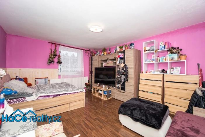 Prodej rodinného domu, Nový Ples, 320 m2