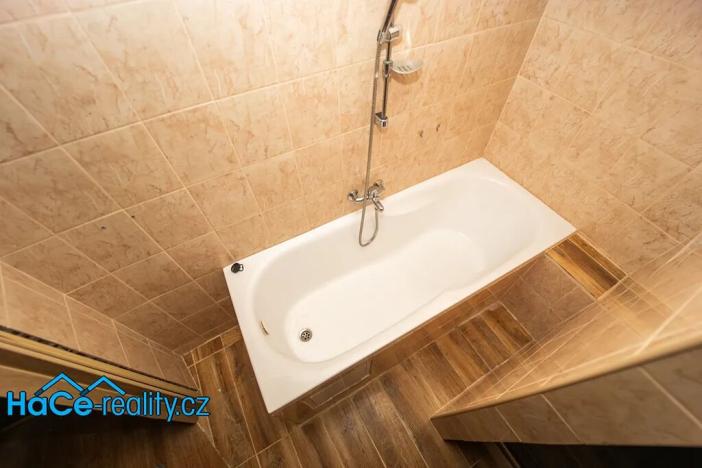 Prodej rodinného domu, Nový Ples, 320 m2