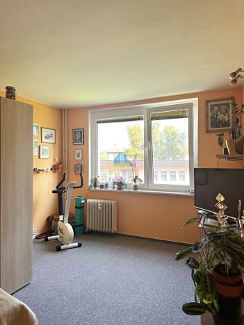 Prodej bytu 2+1, Františkovy Lázně, Karla Čapka, 49 m2