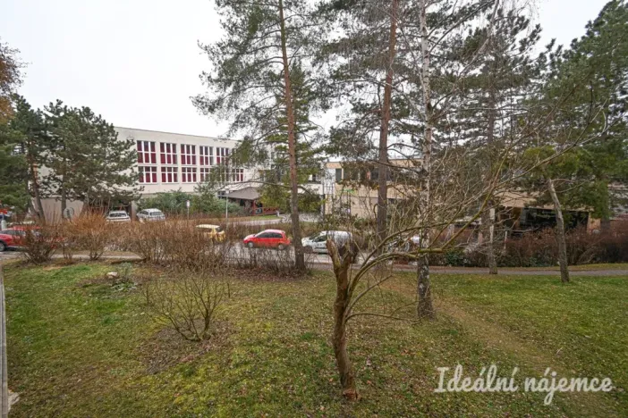 Pronájem bytu 1+1, Brno - Žabovřesky, Lipská, 36 m2