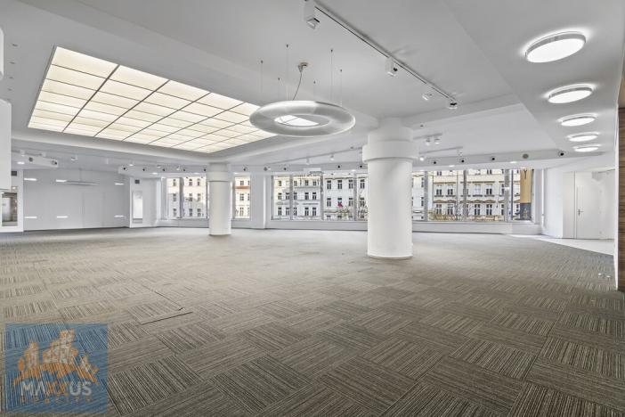 Pronájem obchodního prostoru, Praha - Nové Město, Václavské náměstí, 480 m2