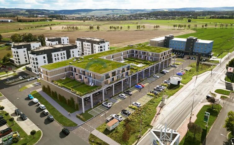 Prodej bytu 3+kk, Opava, 80 m2