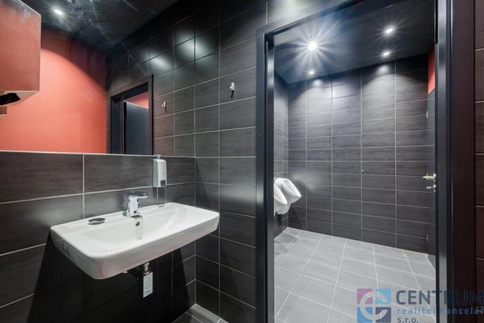 Pronájem obchodního prostoru, Jablonec nad Nisou - Mšeno nad Nisou, Palackého, 264 m2