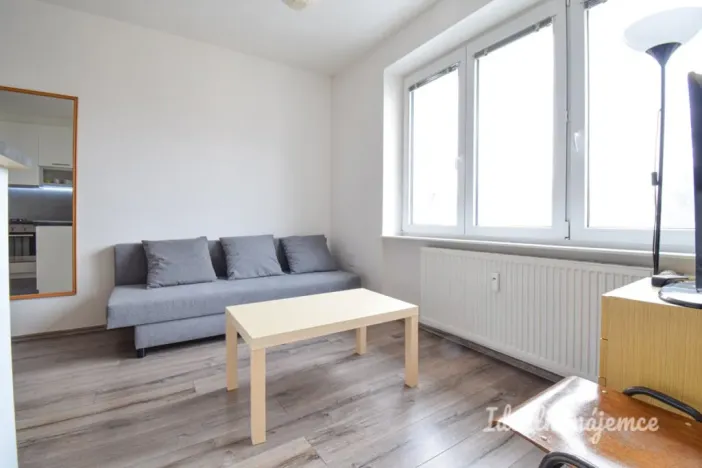 Pronájem bytu 2+kk, Brno, Renneská třída, 39 m2