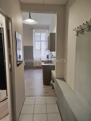 Pronájem bytu 1+1, České Budějovice - České Budějovice 3, Skuherského, 40 m2