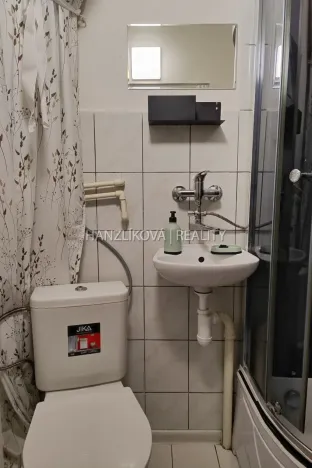 Pronájem bytu 1+1, České Budějovice - České Budějovice 3, Skuherského, 40 m2