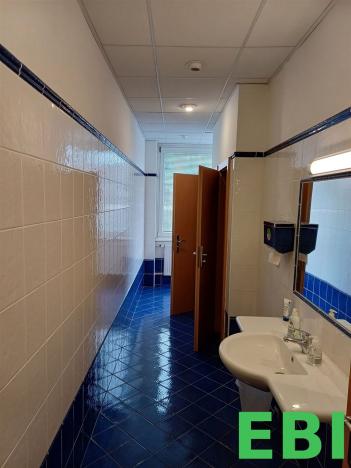 Pronájem kanceláře, Praha - Krč, Nová cesta, 430 m2