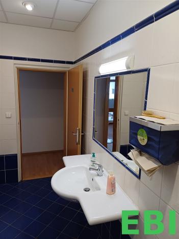 Pronájem kanceláře, Praha - Krč, Nová cesta, 430 m2