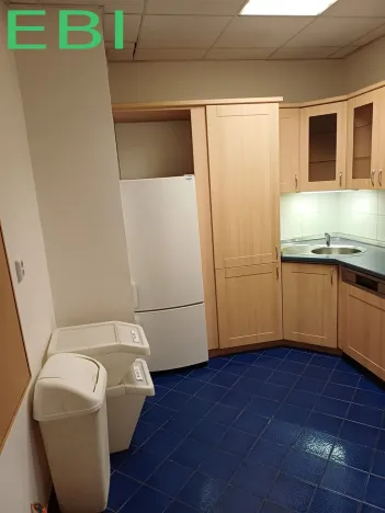 Pronájem kanceláře, Praha - Krč, Nová cesta, 430 m2